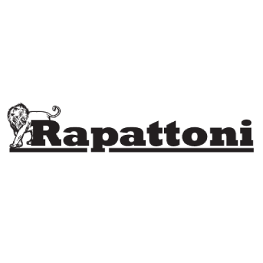 Rapattoni Corporation - Logo